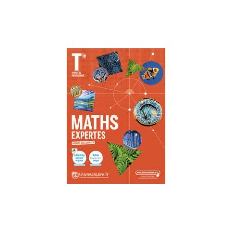 Mathématiques  terminale  expertes (édition 2020)